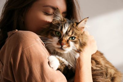 9 علت رفتار محبت آمیز گربه